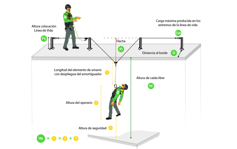 Cómo calcular una línea de vida